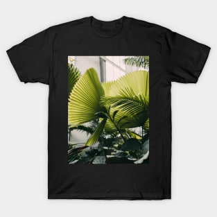 Beautiful Tropical Plant T-Shirt